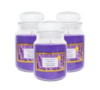 Virsus Candele profumate in Giara Grande, Set da 3 Candele in Vasetto di Vetro da 510 grammi, Profumo Relax per Interno (Lavanda)