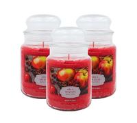 Virsus Candele profumate in Giara Grande, Set da 3 Candele in Vasetto di Vetro da 510 grammi, Profumo Relax per Interno (Mela Speziata)