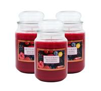 Virsus Candele profumate in Giara Grande, Set da 3 Candele in Vasetto di Vetro da 510 grammi, Profumo Relax per Interno (Frutti di Bosco)