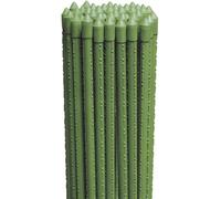 Virsus Canne in Acciaio con Rivestimento in Plastica Verde PACK DA 10)