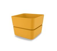 VIRSUS Vaso quadrato con sottovaso per piante, misura 12x11 cm, design elegante, Fioriera per interno e per esterno, vaso per piccole piante grasse, resistente ai raggi UV (Curry)