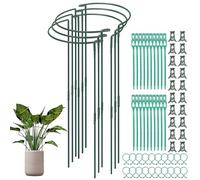 VirtuGro 6 supporti per piante, semicircolari, 25 x 65 cm, pali di supporto per piante, in metallo, per verdure, pomodori, rose, ortensie, piante in vaso