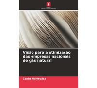 Visão para a otimização das empresas nacionais de gás natural