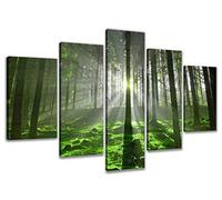 Visario 6312 - Quadro su Tela con Immagine di Bosco, 5 Pezzi Marca Originale, 200 x 100 cm