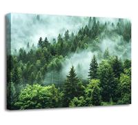 Visario quadro su tela 120x80 cm 5052 foresta nella nebbia paesaggio