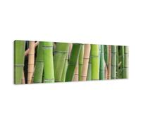 Visario Quadro su Tela Bamboo 120 x 40 cm Modello Nr XXL 5705. I Quadri Sono montati su telai di Vero Legno. Stampa Artistica intelaiata e pronta da Appendere