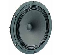 Visaton B 200 Alta Qualità Breitbandlautsprecher 20 CM 8 " 6 Ohm 1 Paio 070246