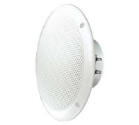 Visaton Fr 16 Wp 4 Ohm 16 CM Altoparlante Massima Estensione (Bianco)