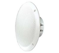 Visaton Fr 16 Wp 4 Ohm 16 CM Altoparlante Massima Estensione (Bianco)