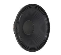 Visaton PAW38 -8 Ohm Cestello Pressofuso, 38 CM (15 ") Subwoofer per Pa Sistemi