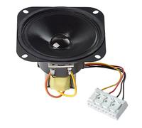 Visaton R 10SC-100V Magnetico Abgeschirmter 10 CM (4 ") Altoparlante Banda Larga