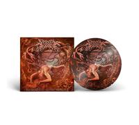 Visceral Disgorge Slithering Evisceration (Vinyl LP)