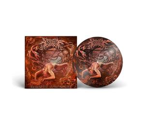 Visceral Disgorge Slithering Evisceration (Vinyl LP)