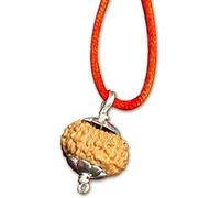 Vishaka Arts 15 Mukhi Indonesiano Rudraksha/Quindici Volti Java/Lord Pashupati In Argento Puro Ciondolo IGL Certificato 100% Originale Geniune Bead Tutte le Dimensioni, Tiny 10mm-12mm, Rudraksha