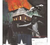Vision of Disorder Razed to the ground (CD) Album