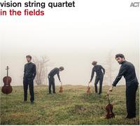 Vision String Quartet Vision String Quartet: In the Fields (Vinyl LP) 12" Album