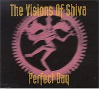 Visions of Shiva,the - Perfect Day
