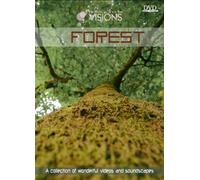 Visions: Volume 5: Forest