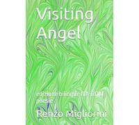 Visiting Angel: edizione bilingue ITA-ROM poesie
