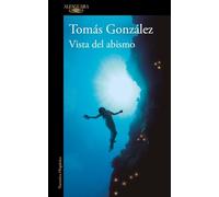 Vista desde el abismo / View From The Abyss
