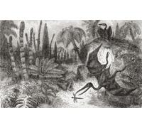 Vista immaginaria di pterosauri o pterodattili. Dall'universo o L'infinito grande e l'infinitamente piccolo pubblicato 1882. Stampa poster di Ken Welsh (19 x 12)