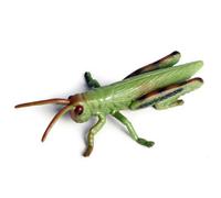 Vistnale Cavallette|.Collezione di Giocattoli e Insetti di cavallette - Figure di Altamente Dettagliate per l'apprendimento dei Bambini, Lo Studio della, Le Decorazioni di Halloween e l'espo