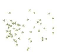 Vistreck 50 Pezzi Esca Verde Fermo per Carp Fishing Hair Rig Secure Hold | opzioni trasparenti, nere, bollire, mais, esche per carne, accessori per attrezzatura terminale per capelli