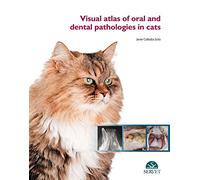 Visual atlas of oral and dental pathologies in cats