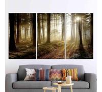 Visualizza l'arte su tela, l'arte murale su tela, il sentiero nel bosco al tramonto, la vista sulla foresta stampata, le stampe su tela, i poster sulla bellezza della natura 70x100cmx3 con cornice