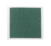 Visualizzatore di campo per display magnetico a membrana, 50 x 75 mm e 101 x 101 mm, pellicola flessibile verde scuro per ricerca scientifica uso educativo formato portatile