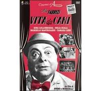 Vita da cani