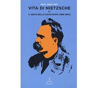 Vita di Nietzsche. Vol. 3: Il genio della catastrofe (1889-1900).