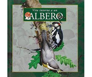 Vita intorno a un albero