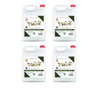 Vitacab - 4 taniche da 5 litri gel doccia e shampoo 2 in 1 - fragranza White Tea Harmony - detergente corpo e capelli - uso professionale per hotel, spa, B&B - ricarica per dispenser 20 L totali