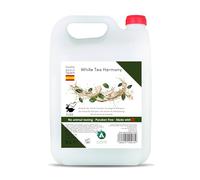 Vitacab - Gel doccia e shampoo 2 in 1 da 5 litri - detergente corpo e capelli con fragranza White Tea Harmony - uso professionale per hotel, spa, palestre - compatibile con dispenser ricaricabili