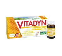 VITADYN PAPPA REALE rimedio per inappetenza con vitamine 10 flaconi