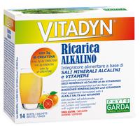 Vitadyn Ricarica 14 Bustine - Integratore di Sali Minerali