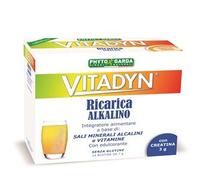 VITADYN RICARICA ALKALIN 14 BUSTINE