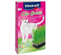 Vitakraft Cat Grass, miscela di semi erba gatta, con vitamine e minerali (1x 120g)