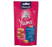 Vitakraft Cat Yums 40 gr: Salmone