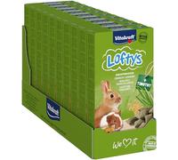 Vitakraft Loftys, fagottini croccanti per roditori, snack per roditori, con avena e fleolo pratense, senza zuccheri aggiunti (10x 100g)