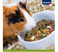 Vitakraft Rings Snack per Roditori 0,3 Kg