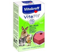 Vitakraft Vita Fit Sel Plus blocco di sale 1 pz