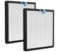 Vital 100S Filtro di ricambio compatibile con LEVOIT Vital 100S HEPA, 2 filtri HEPA H13 e filtri ai carboni attivi per Vital 100s numero di modello LAP-V102S-WEU