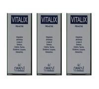 Vitalix Pro Active 30 Capsule 3x30 g Capsule