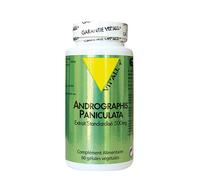 Vit'all+ Andrographis Paniculate 400mg 60 Compresse - Integratore alimentare