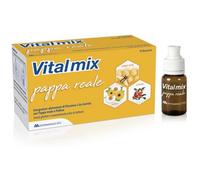 Vitalmix VITALMIX PAPPA REALE 10FLACONCINI X10 ML S/GL
