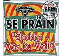 Vitamin B Feat.the Brain - Sladdgo-Was du Woll?