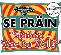 Vitamin B Feat.the Brain - Sladdgo-Was du Woll?