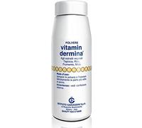 VITAMINDERMINA POLVERE ESTR VEG